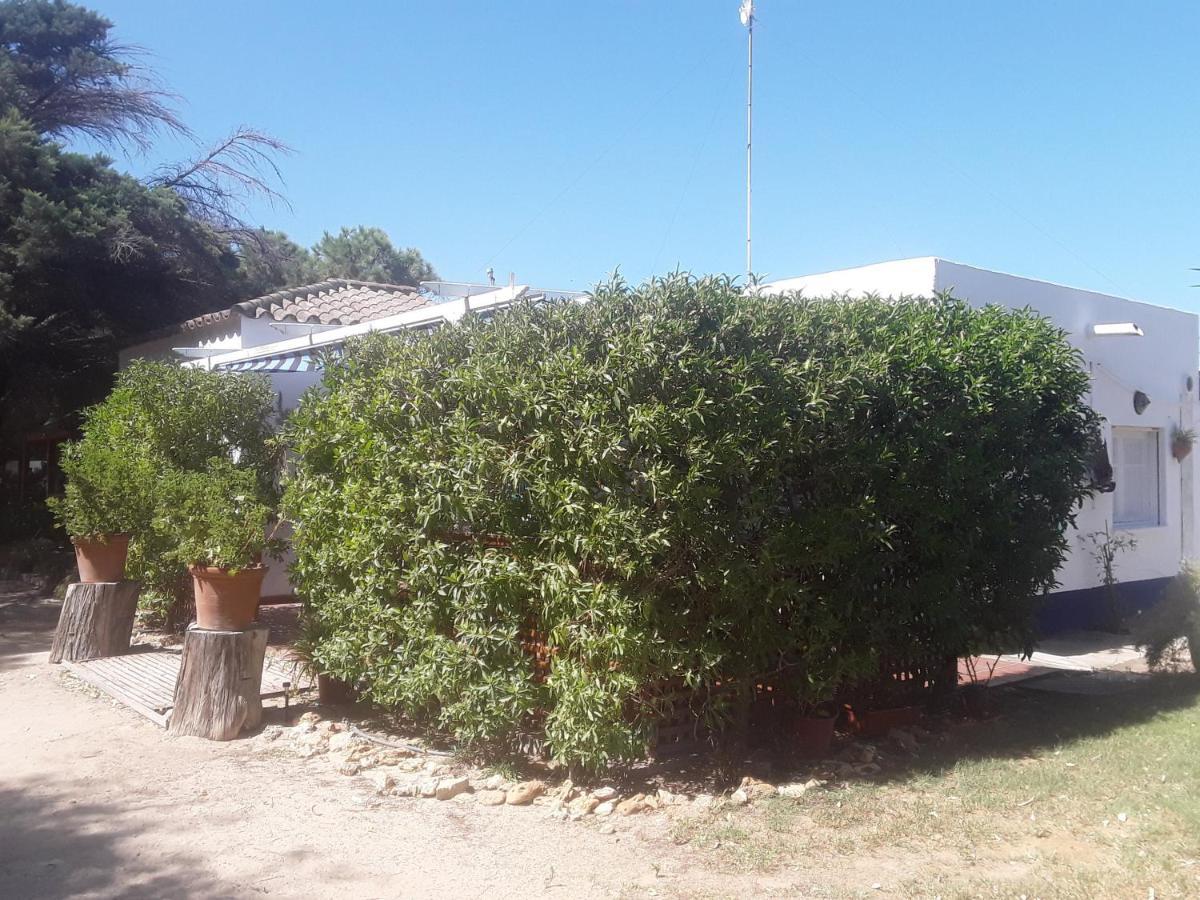 En Finca Las Dunas Dos Chalets Con Jacuzzis En Primera Linea De Playa , Uno De 4 Dormitorios Y Otro De 2 Dormitorios, Llama Al Seiscientos Veintisiete Cuatrocientos Diecisiete Trescientos Noventa Y Ocho Rota Exterior photo