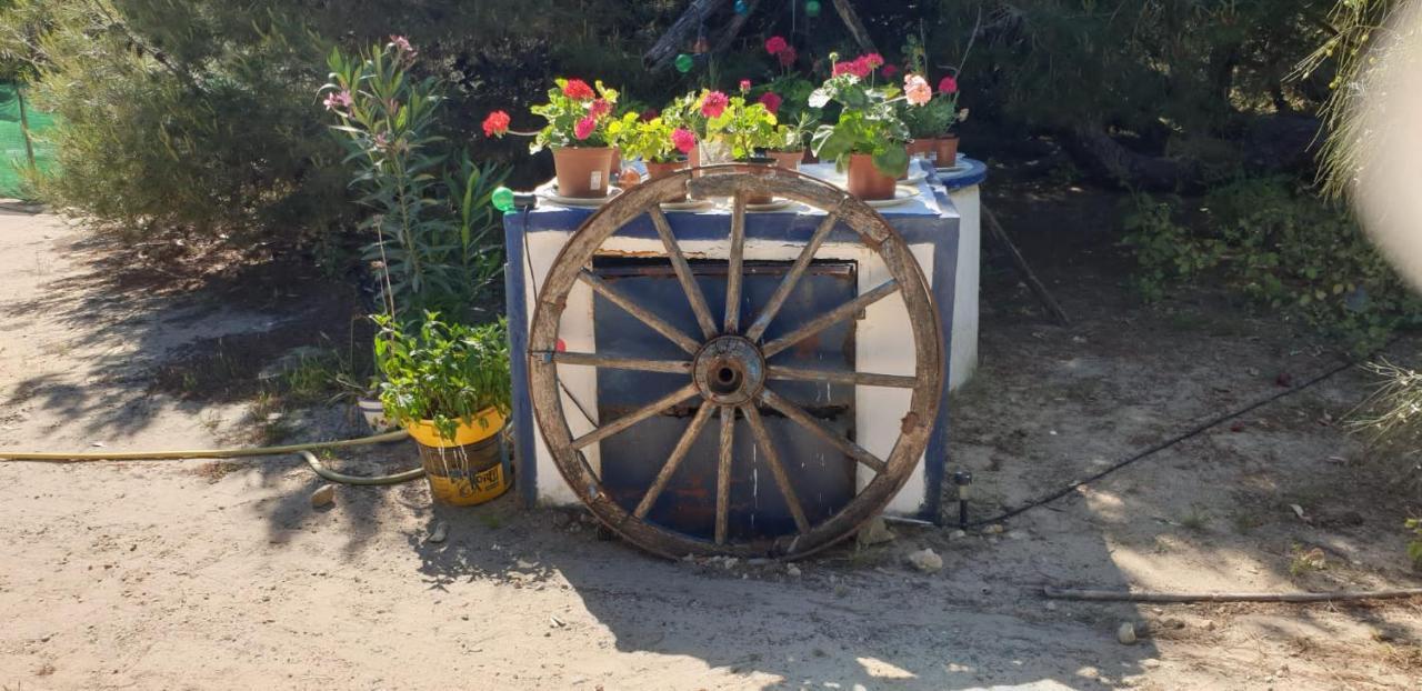 En Finca Las Dunas Dos Chalets Con Jacuzzis En Primera Linea De Playa , Uno De 4 Dormitorios Y Otro De 2 Dormitorios, Llama Al Seiscientos Veintisiete Cuatrocientos Diecisiete Trescientos Noventa Y Ocho Rota Exterior photo