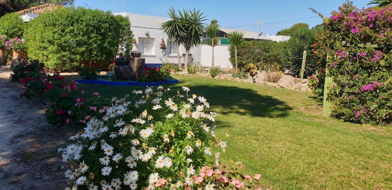 En Finca Las Dunas Dos Chalets Con Jacuzzis En Primera Linea De Playa , Uno De 4 Dormitorios Y Otro De 2 Dormitorios, Llama Al Seiscientos Veintisiete Cuatrocientos Diecisiete Trescientos Noventa Y Ocho Rota Exterior photo