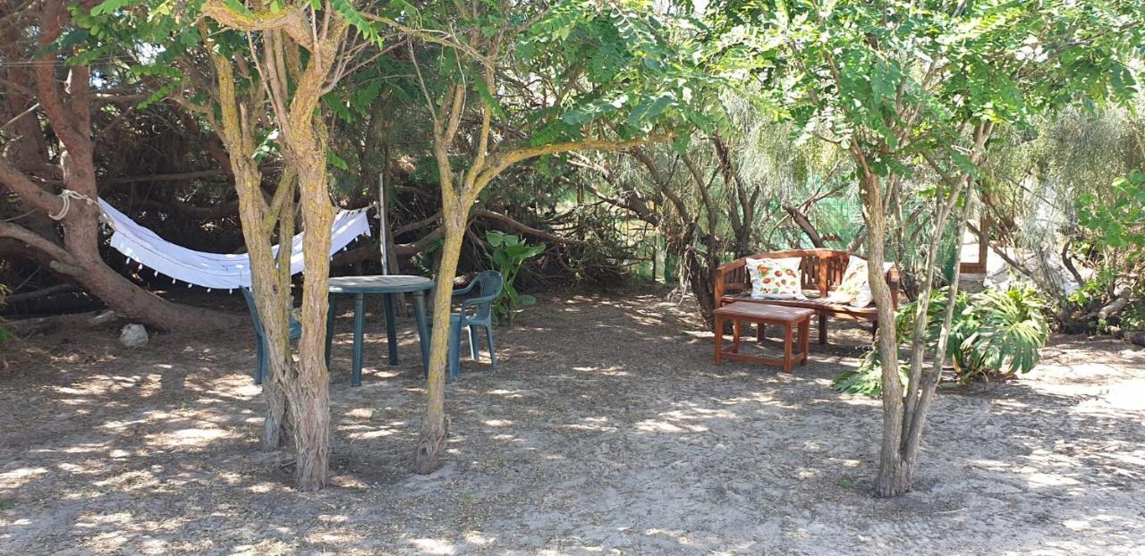 En Finca Las Dunas Dos Chalets Con Jacuzzis En Primera Linea De Playa , Uno De 4 Dormitorios Y Otro De 2 Dormitorios, Llama Al Seiscientos Veintisiete Cuatrocientos Diecisiete Trescientos Noventa Y Ocho Rota Exterior photo