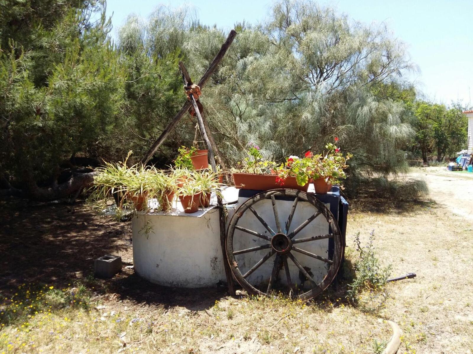 En Finca Las Dunas Dos Chalets Con Jacuzzis En Primera Linea De Playa , Uno De 4 Dormitorios Y Otro De 2 Dormitorios, Llama Al Seiscientos Veintisiete Cuatrocientos Diecisiete Trescientos Noventa Y Ocho Rota Exterior photo