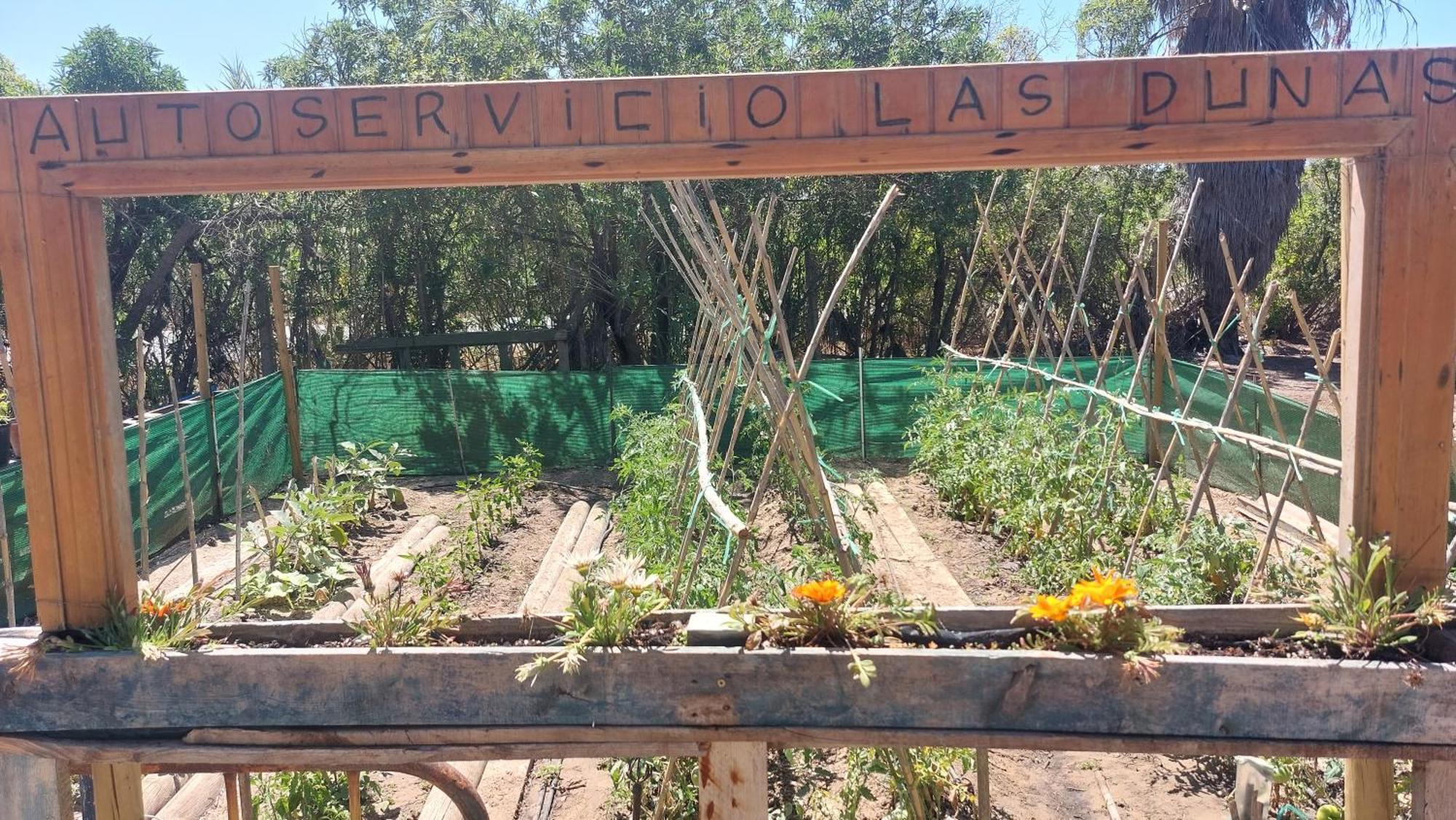 En Finca Las Dunas Dos Chalets Con Jacuzzis En Primera Linea De Playa , Uno De 4 Dormitorios Y Otro De 2 Dormitorios, Llama Al Seiscientos Veintisiete Cuatrocientos Diecisiete Trescientos Noventa Y Ocho Rota Room photo