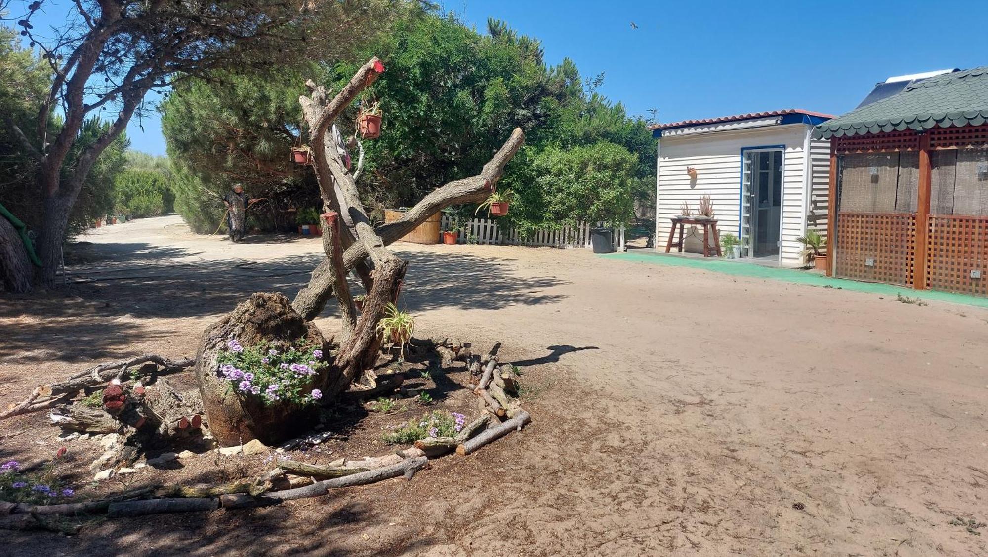 En Finca Las Dunas Dos Chalets Con Jacuzzis En Primera Linea De Playa , Uno De 4 Dormitorios Y Otro De 2 Dormitorios, Llama Al Seiscientos Veintisiete Cuatrocientos Diecisiete Trescientos Noventa Y Ocho Rota Exterior photo