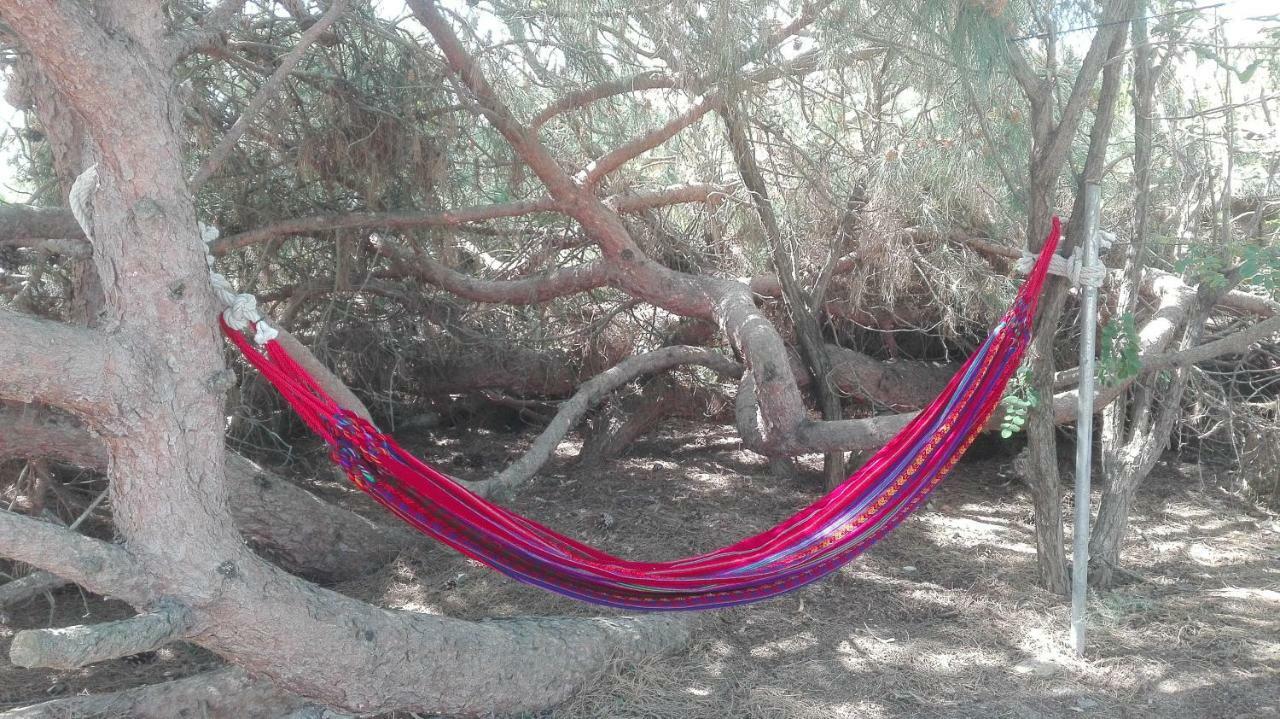 En Finca Las Dunas Dos Chalets Con Jacuzzis En Primera Linea De Playa , Uno De 4 Dormitorios Y Otro De 2 Dormitorios, Llama Al Seiscientos Veintisiete Cuatrocientos Diecisiete Trescientos Noventa Y Ocho Rota Exterior photo