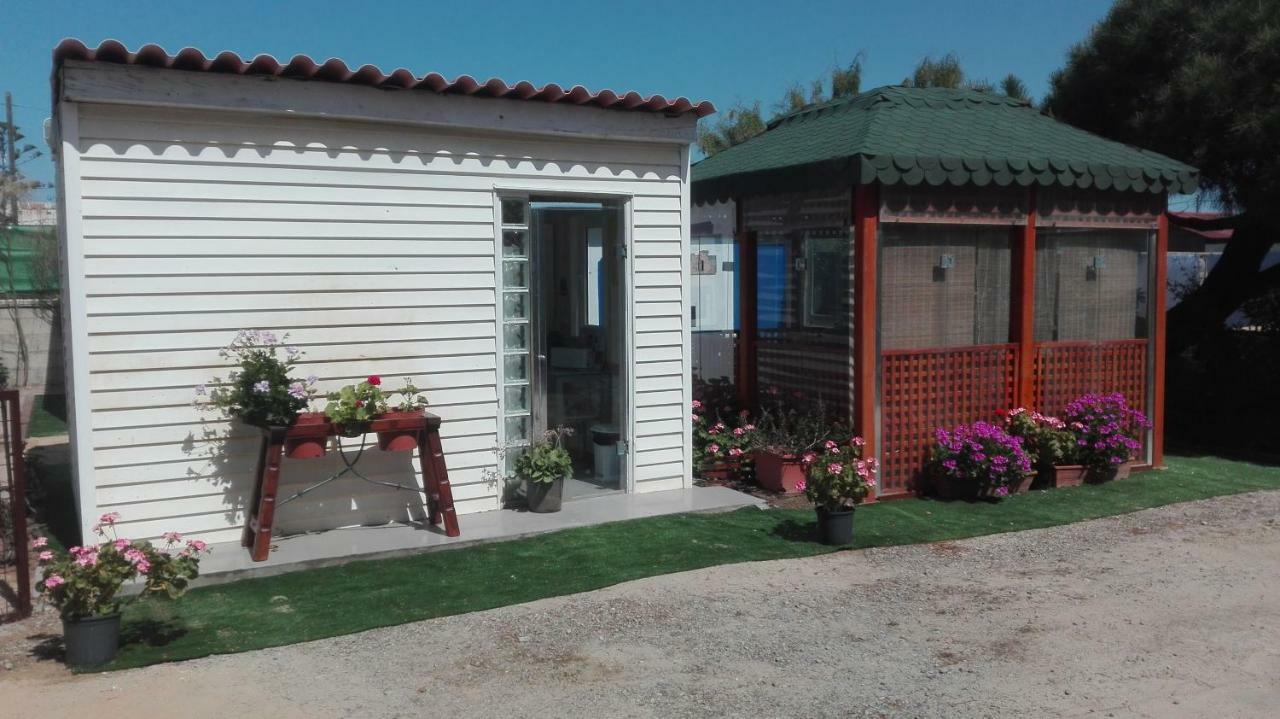 En Finca Las Dunas Dos Chalets Con Jacuzzis En Primera Linea De Playa , Uno De 4 Dormitorios Y Otro De 2 Dormitorios, Llama Al Seiscientos Veintisiete Cuatrocientos Diecisiete Trescientos Noventa Y Ocho Rota Exterior photo